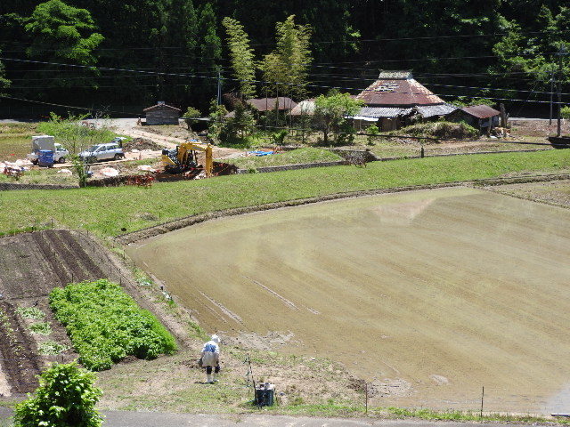 DSCN3941.JPG